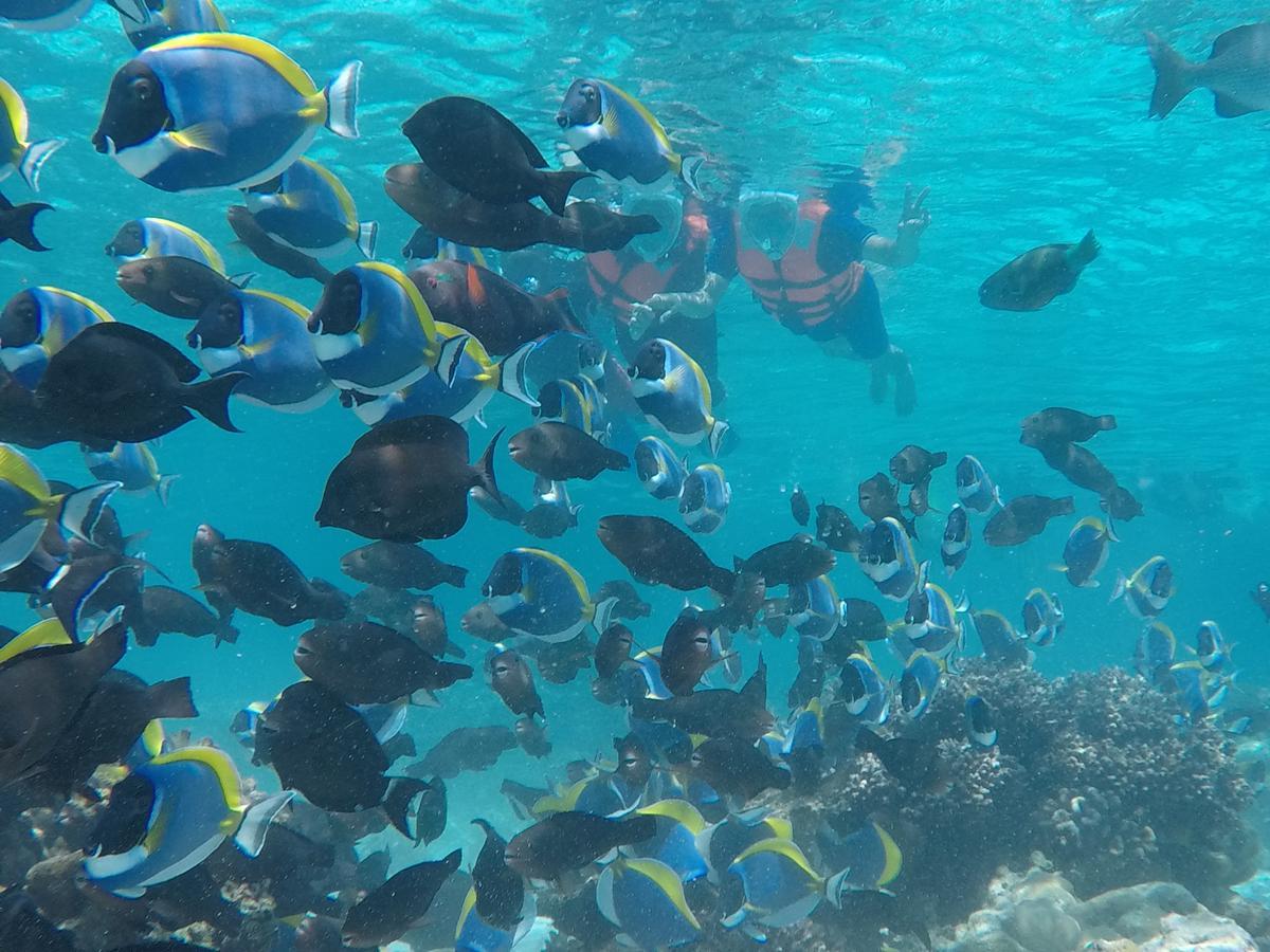 Отель Club Blu Хулхумале Экстерьер фото
